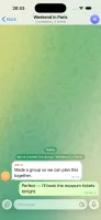 Official Telegram iOS client in a Ferrite basic group