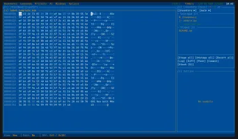 Hex view and in-place editing for binary files