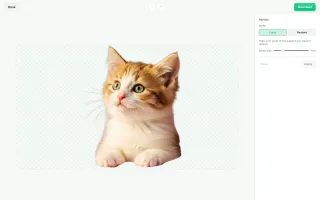 unbagrnd refine editor with brush tool