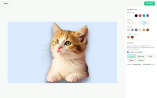 unbagrnd background editor with color fill and drop shadow