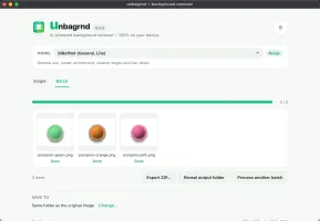 unbagrnd batch results with ZIP export