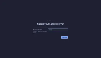 Choose a sign-in handle for the owner account