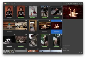 Large thumbnail grid layout