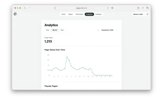 Page view analytics page