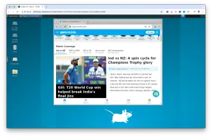 Sandbox desktop accessed over VNC, showing the pre-installed Chrome for computer use