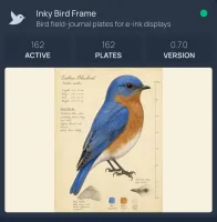 Homepage featured-plate card with catalog stats and upright Eastern Bluebird plate