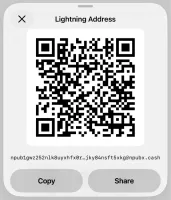 Lightning address QR code with copy and share actions (light mode)