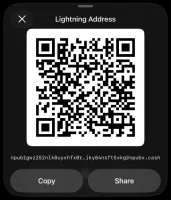Lightning address QR code with copy and share actions (dark mode)