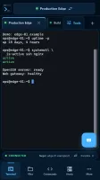 Mobile terminal workspace with responsive session controls