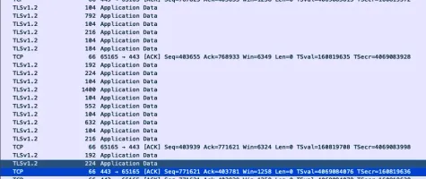 SwizGuard traffic in Wireshark showing TLSv1.2/TCP port 443 Application Data