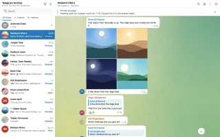 Group chat in the viewer with pinned message, photo album, replies and reactions