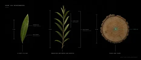 Memory tree visualization: daily leaves, weekly/monthly/yearly branches, CORE.md trunk