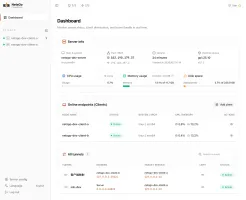 NetsGo Web console overview showing dashboard with client status and tunnels