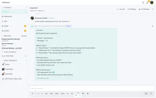 Nebulynk main interface in light mode showing chat and channels