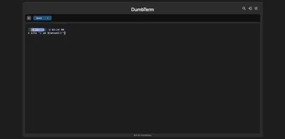 DumbTerm web terminal preview showing the interface with Starship prompt