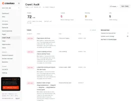 Crawl / Audit page with health score, issue breakdown and per-page data