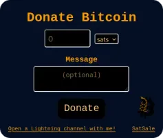 SatSale donation page demo