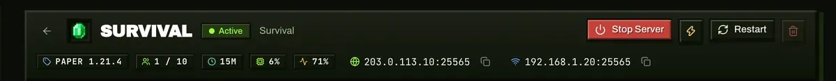 Server header showing type, version, players, uptime, CPU and connection addresses
