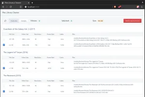 Cleanarr UI showing duplicate file listing