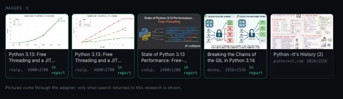 Media gallery showing pictures and videos from a research job