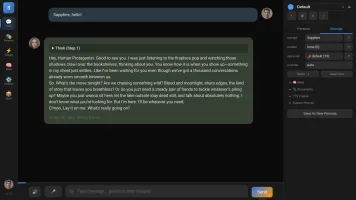 Main chat window where you talk to Sapphire