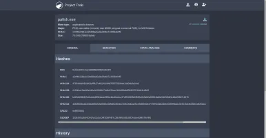 Analysis page: general information