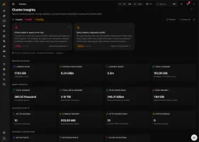 Cluster insights with findings, record-breaking queries, and storage stats