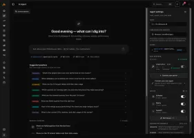 AI agent interface for asking about schema, storage, queries, and health