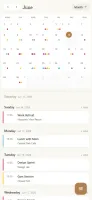 Mobile month view