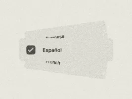 Multi-language translation interface