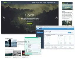 Base demo website frontend