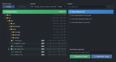 Restore screen with archive file tree and files selected for restore