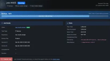 Running Borg backup job with progress, transfer rate and files processed