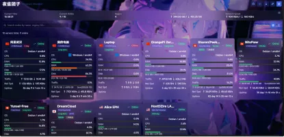 Home Dashboard showing server overview and metrics