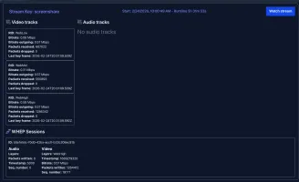 Statistics dashboard with stream uptime and metrics