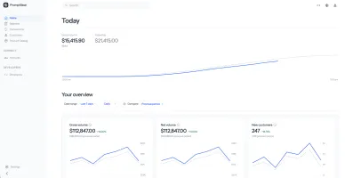 Platform dashboard showing payments, customers, products, subscriptions
