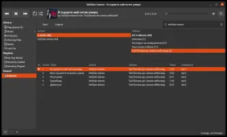 Euterpe Rhythmbox plugin integrated in GNOME desktop