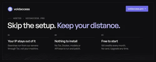 Hosted version at voidaccess.pro showing skip the setup message