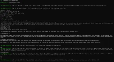 Live MCP output stream in the terminal with timestamped commands and raw responses