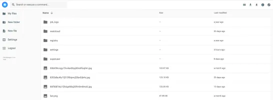 File Browser interface for file management and video playback