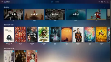 Home media server interface