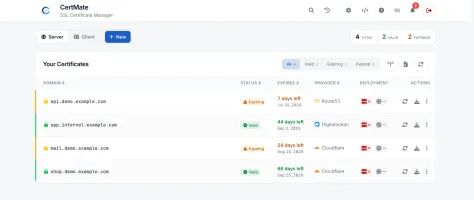 Certificate dashboard showing TLS certificates with expiry status, DNS provider, and deployment columns