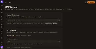 MCP server page showing endpoint and client setup