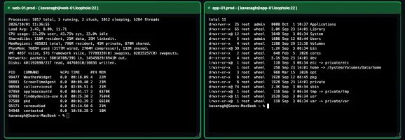 Two live SSH terminal sessions side by side in the browser