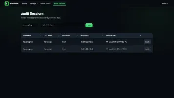 Audit sessions list with user and system filters