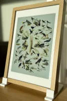 Collage mode showing multiple detected birds on the e-ink panel